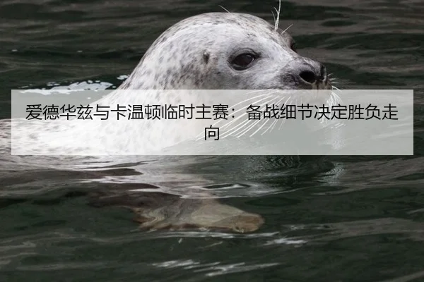 ai-de-hua-zi-yu-ka-wen-dun-lin-shi-zhu-sai-bei-zhan-xi-jie-jue-ding-sheng-fu-zou-xiang-3-302.jpg