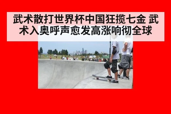 武术散打世界杯中国狂揽七金 武术入奥呼声愈发高涨响彻全球