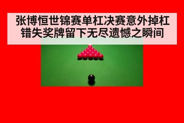 张博恒世锦赛单杠决赛意外掉杠错失奖牌留下无尽遗憾之瞬间