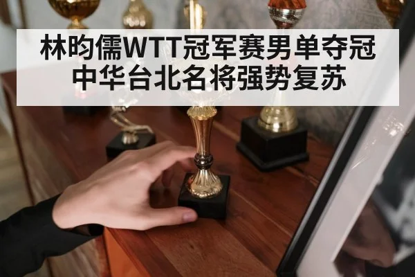 林昀儒WTT冠军赛男单夺冠中华台北名将强势复苏